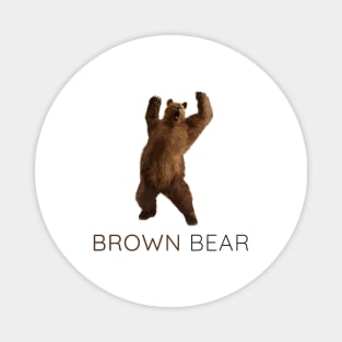 Brown Bear, Grizzly bear, Ursus arctos Magnet